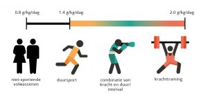 Eiwitten Alle Belangrijke Informatie Fit Nl