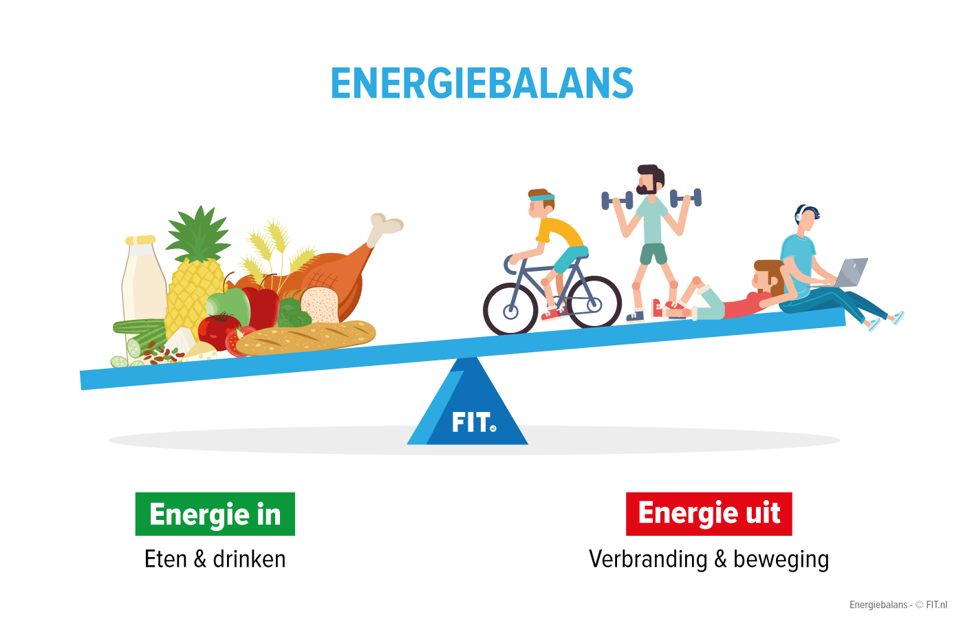 rustig aan Tot stand brengen Kreunt Energiebalans: uitleg van dit begrip - FIT.nl