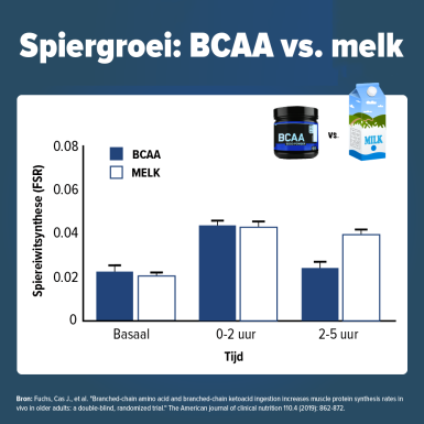 Sport Algebra Echter BCAA: wat is het effect? | FIT.nl