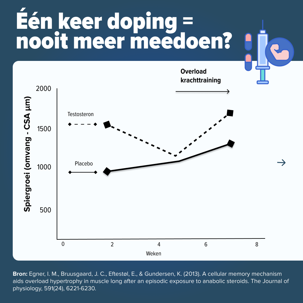 Testosteron spiergeheugen onderzoek